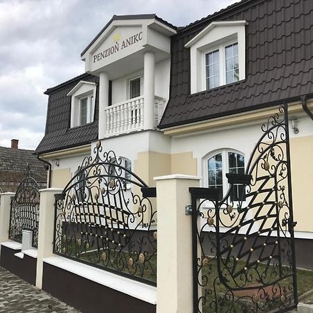 Penzion Aniko Diakovce-Sala Luaran gambar